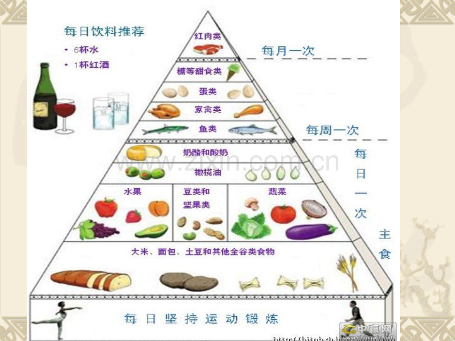 脂类代谢.pptx_第3页