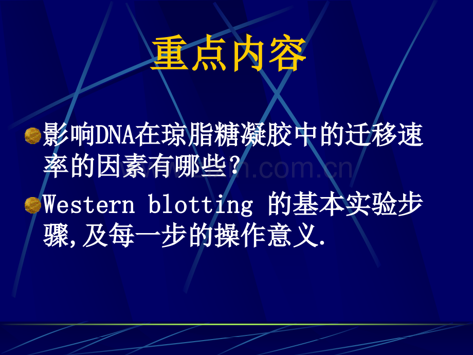 电泳技术及其在分子生物学中的应用.pptx_第3页