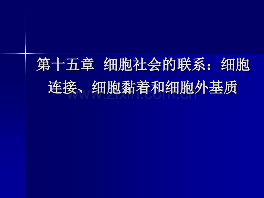 细胞社会的联系细胞连接细胞黏着和细胞外基质精讲.pptx_第1页