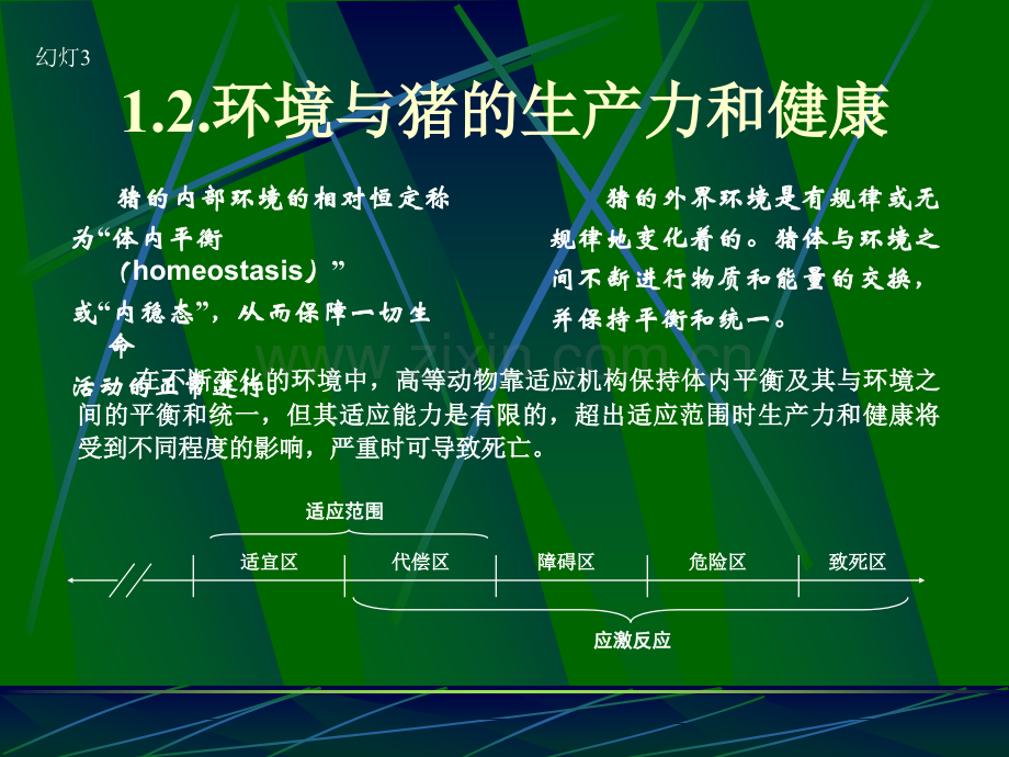 猪场环境与疫病的关系.pptx_第3页