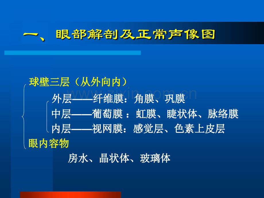 眼部常见病的超声诊断.pptx_第3页