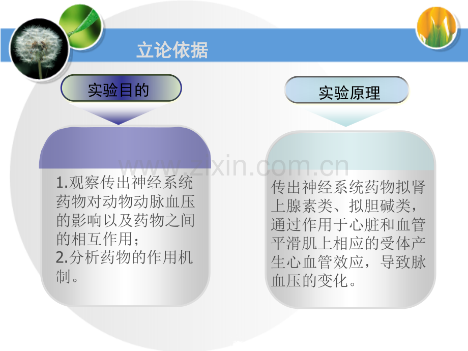 机能自主设计实验.pptx_第3页