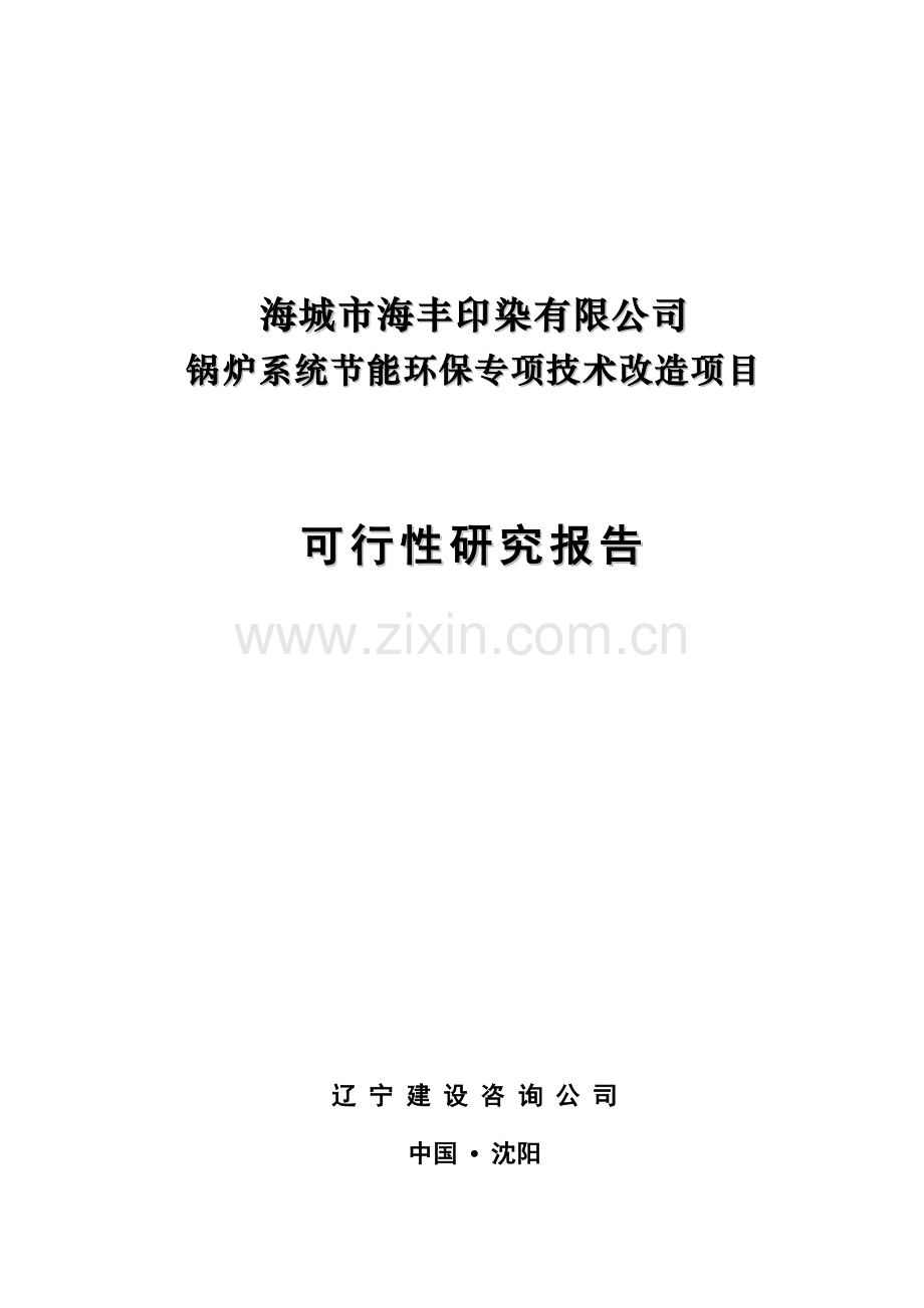 印染有限公司锅炉系统投资节能环保专项技术改造项目可行性研究报告.doc_第1页