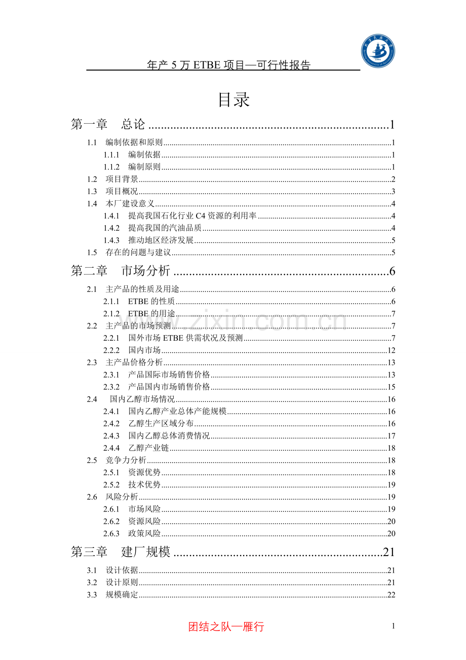 年产5万etbe项目申请建设可行性分析报告.doc_第1页