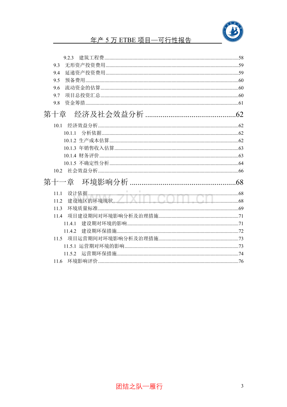 年产5万etbe项目申请建设可行性分析报告.doc_第3页