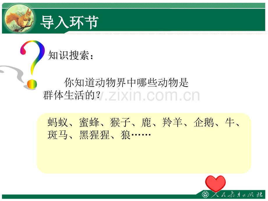 社会行为教学.pptx_第2页