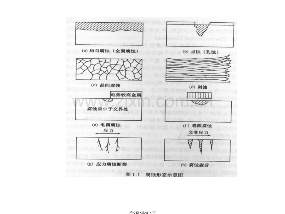 材料腐蚀与防护68.pptx_第2页