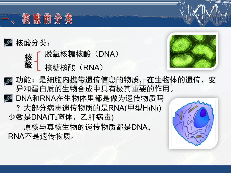 第二章-组成细胞的分子.pptx_第2页