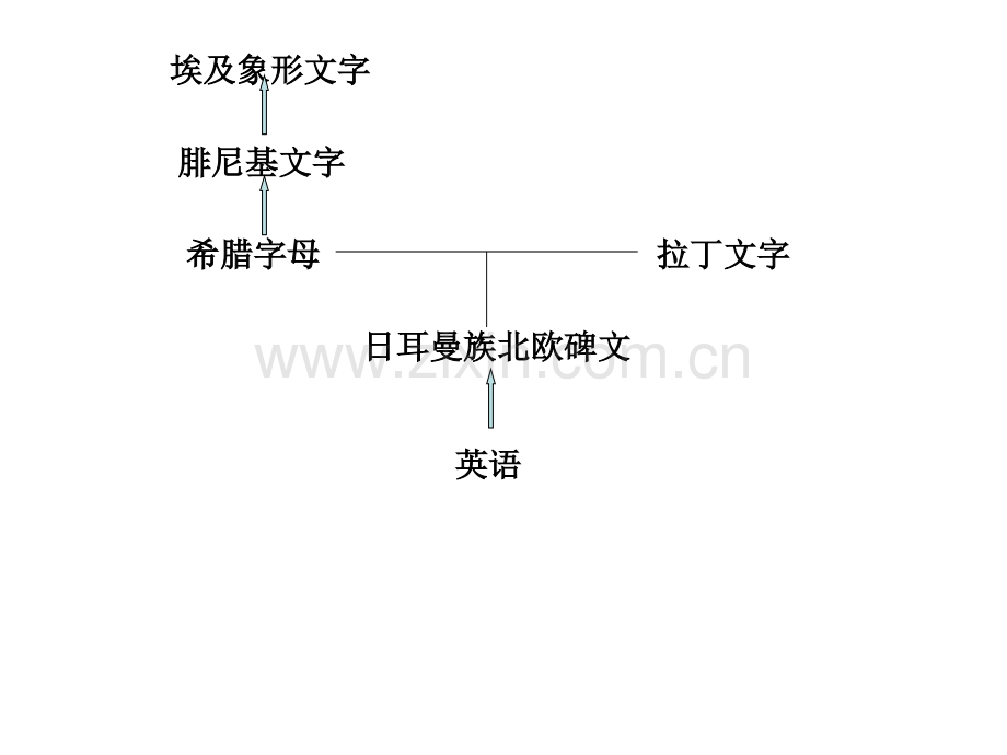 英语单词分类.pptx_第1页