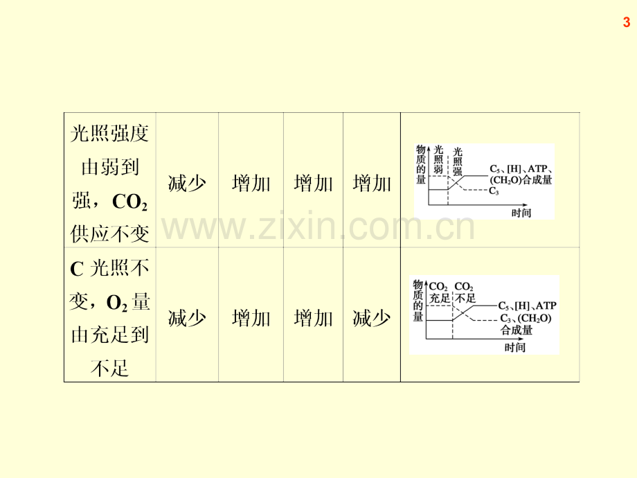 细胞的代谢光合与呼吸作用.pptx_第3页