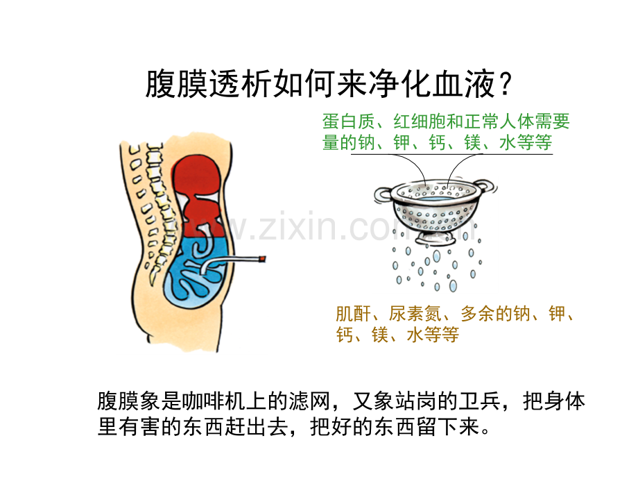 腹透病人培训幻灯.pptx_第3页