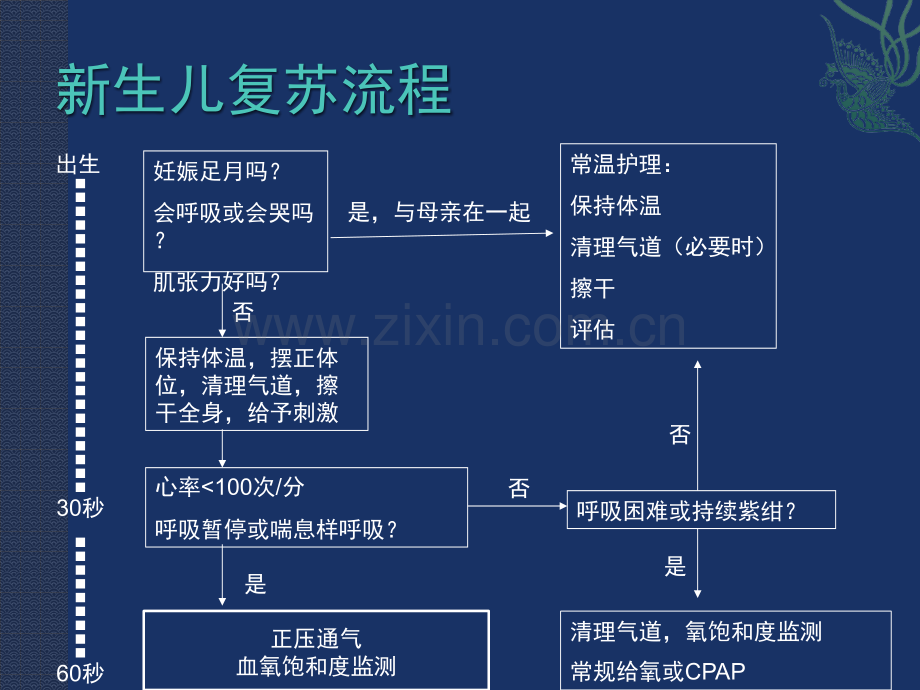 新生儿对比.pptx_第3页