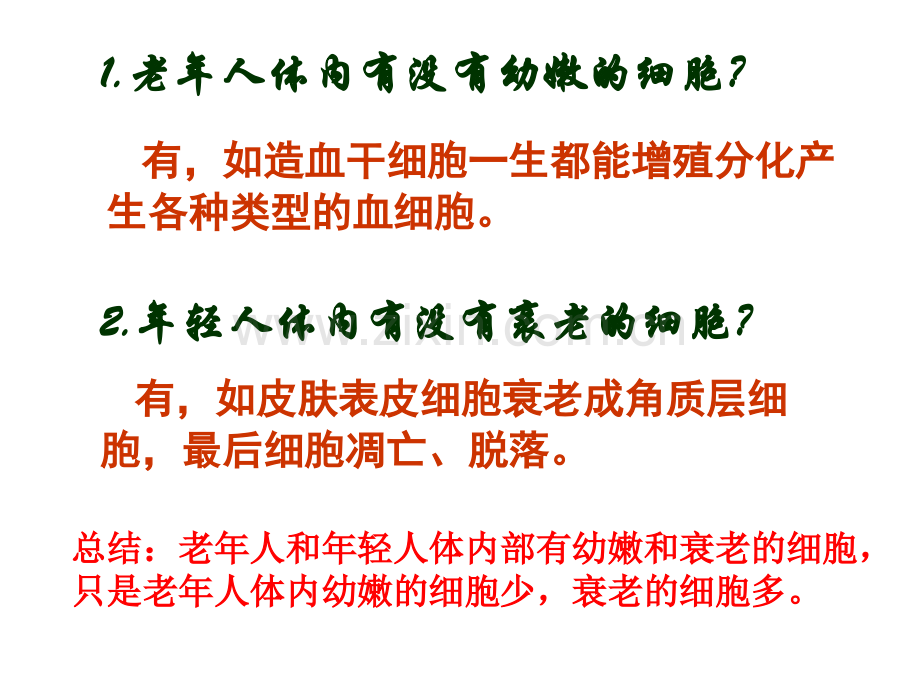 细胞的衰老凋亡和癌变.pptx_第3页