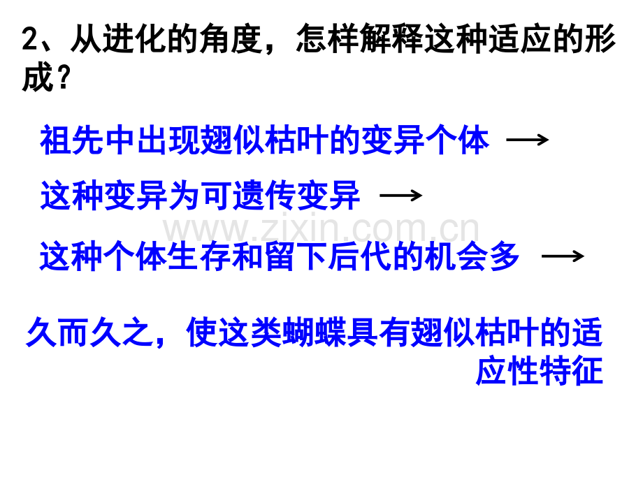 现代生物进化理论的由来上课用PPT.pptx_第3页