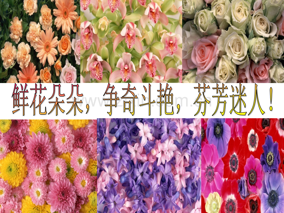 花钟公开课.pptx_第2页