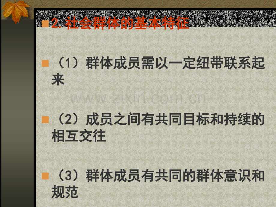 社会群体与消费者购买行为.pptx_第3页