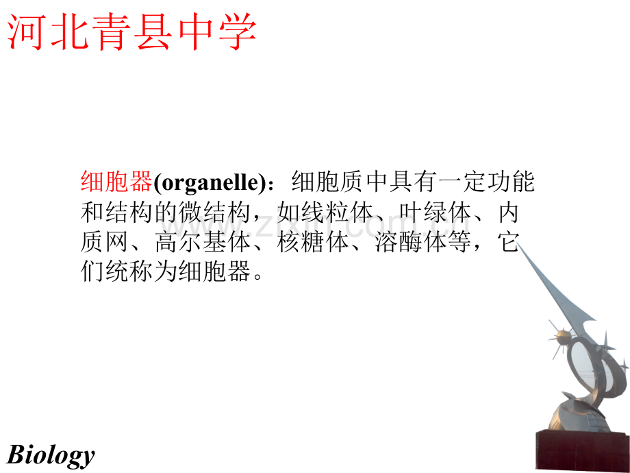 细胞的基本结构2.pptx_第1页