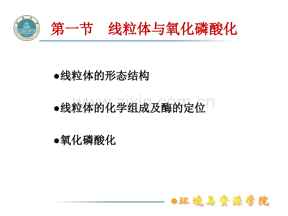 细胞的能量转换器.pptx_第1页