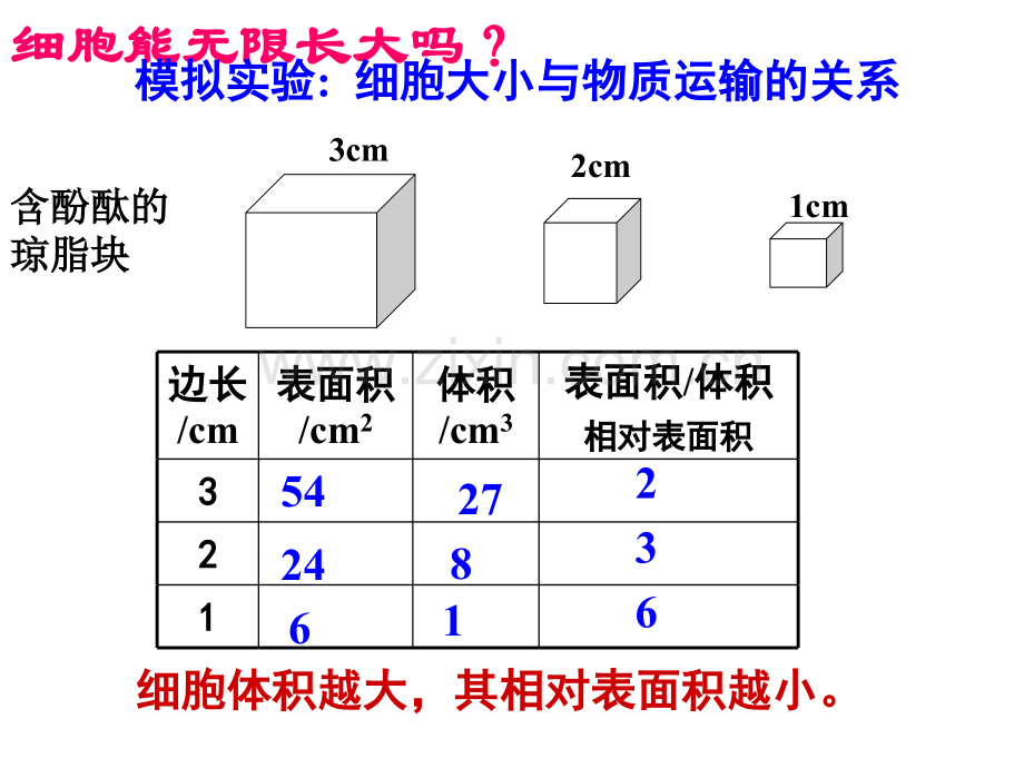 细胞的增殖改.pptx_第3页