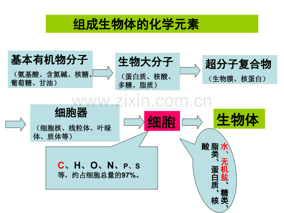 生命的物质组成专业高中生物基础.pptx_第2页