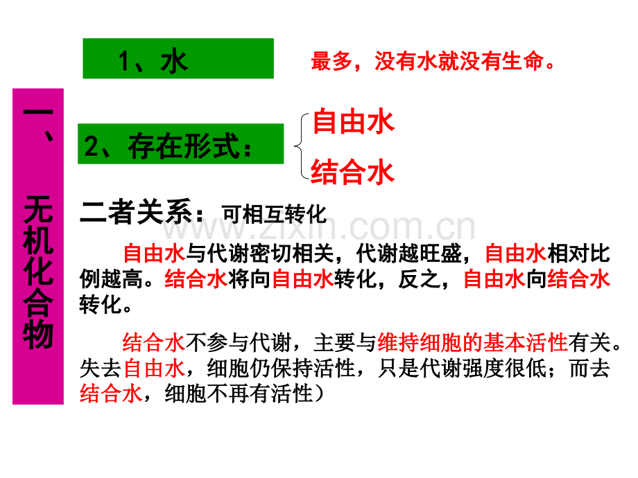 生命的物质组成专业高中生物基础.pptx_第3页