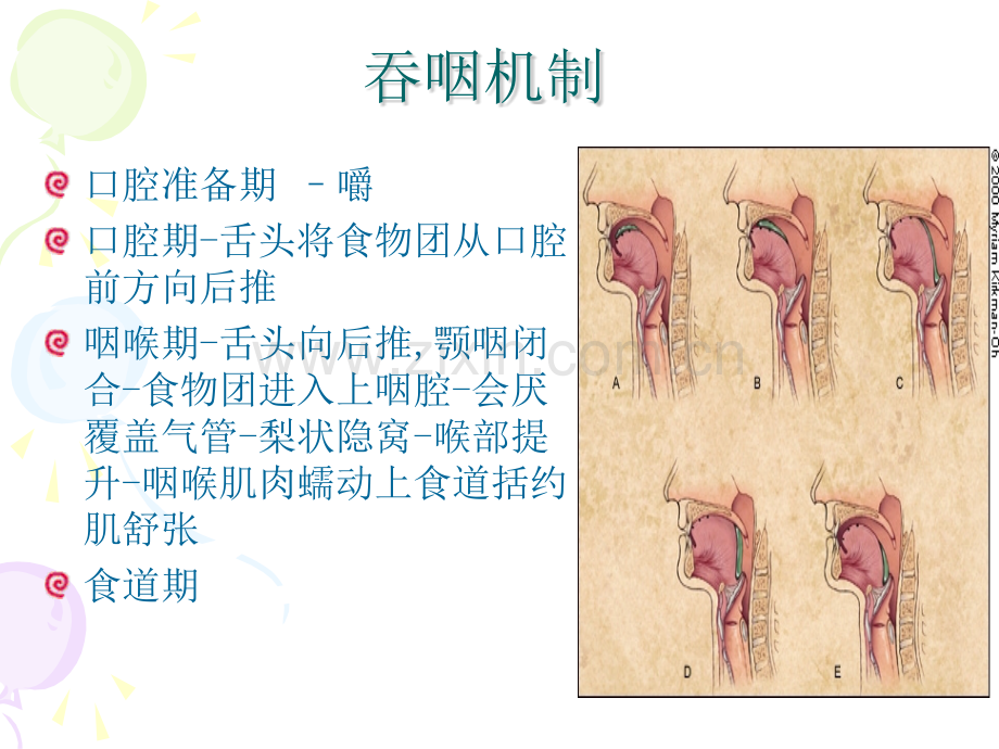 老年患者进食安全护理.pptx_第3页