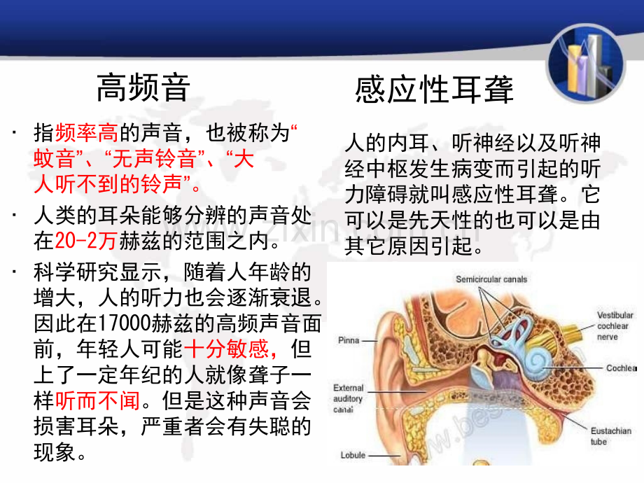 老年性耳聋.pptx_第3页