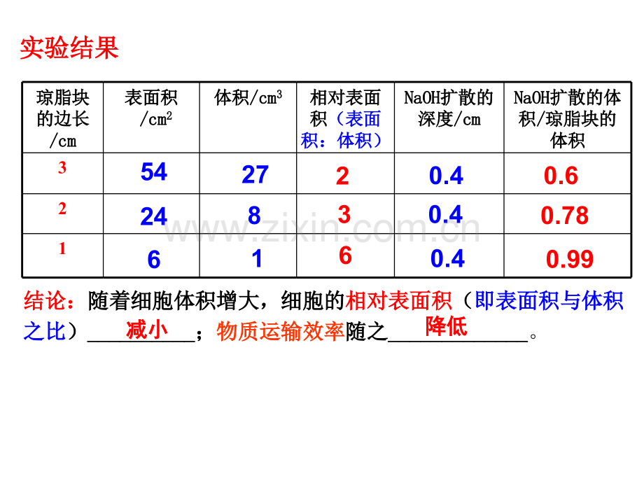 细胞的增殖一轮复习.pptx_第3页