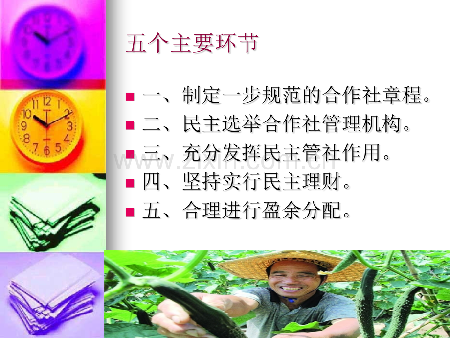 河南省农民专业合.pptx_第3页