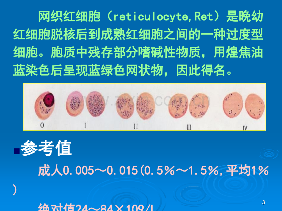 第四篇实验诊断.pptx_第3页