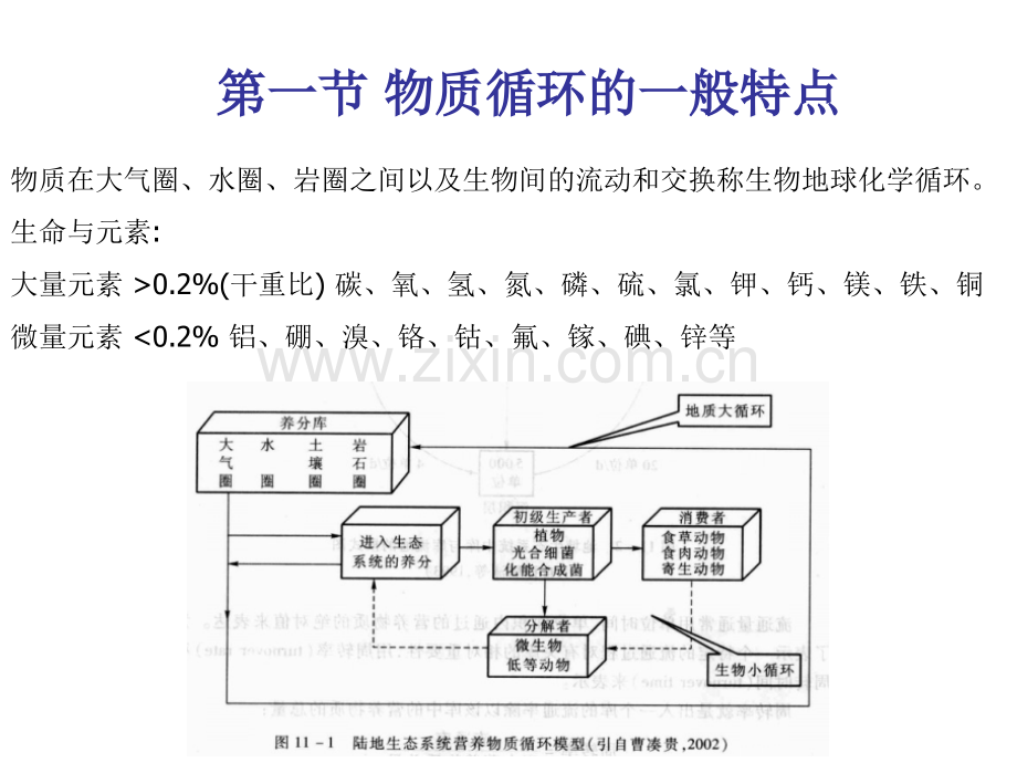 生态系统中的物质循环.pptx_第2页