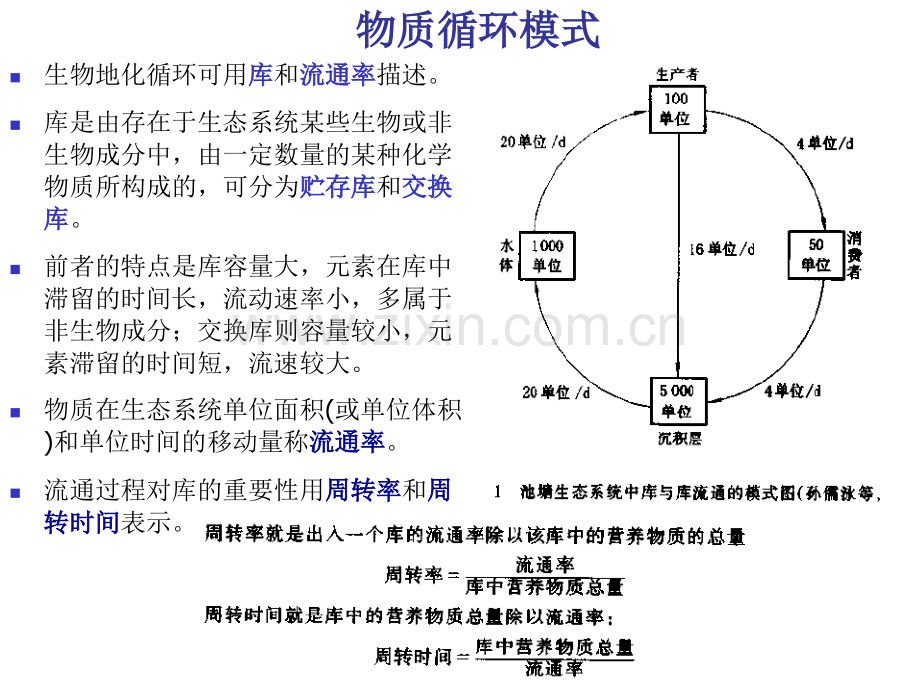 生态系统中的物质循环.pptx_第3页