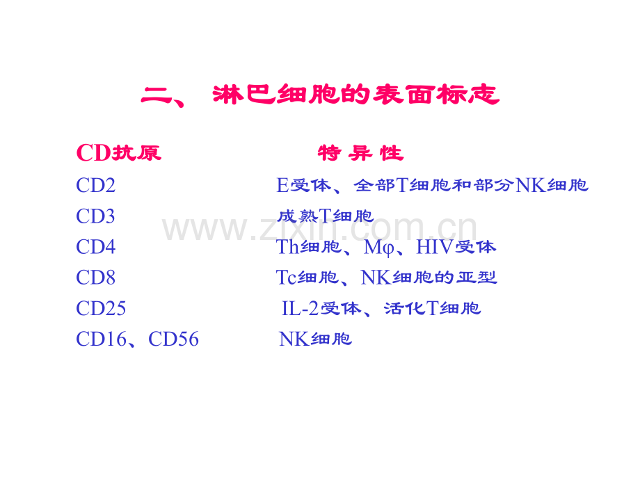 淋巴细胞的分离及功能检测.pptx_第2页