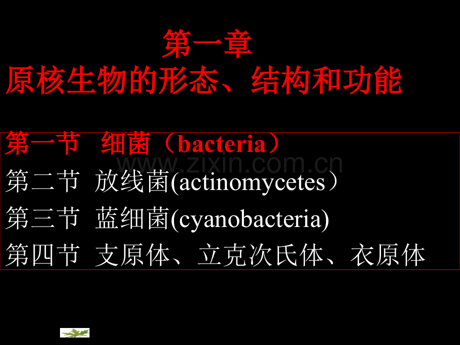 第二章原核微生物的形态结构.pptx_第1页