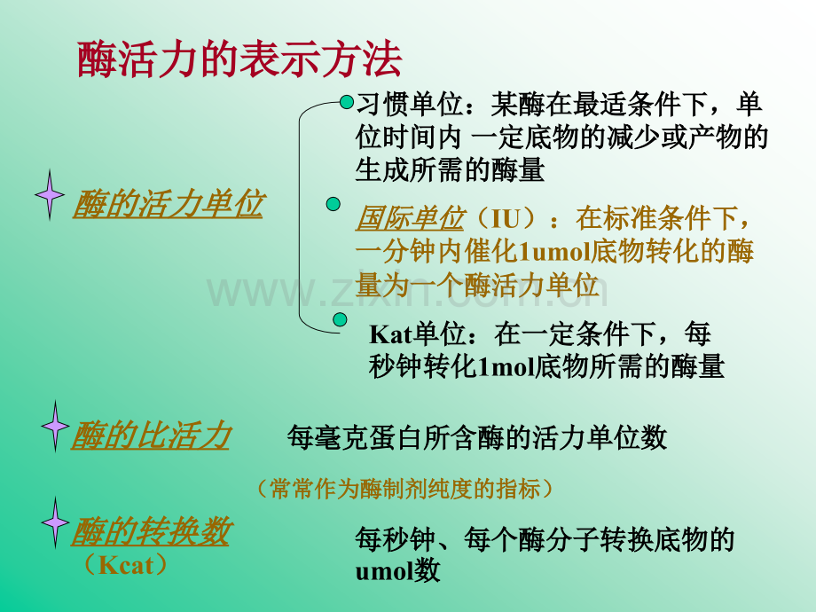 酶促反应动力学王镜岩生物化学全.pptx_第3页