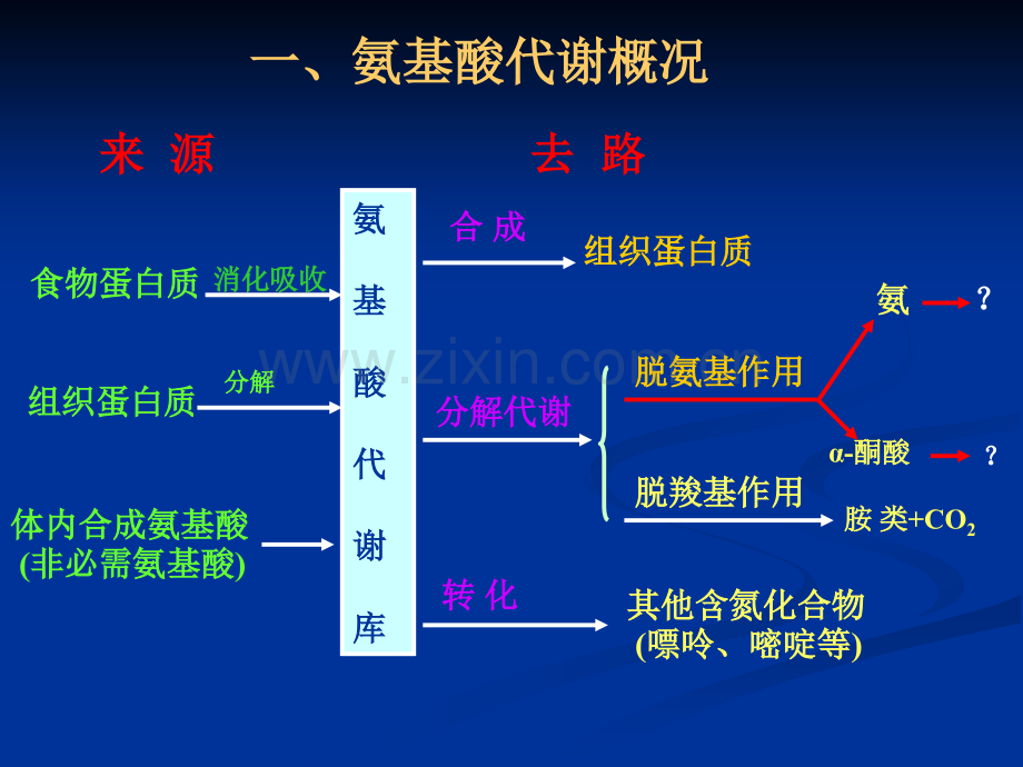 自考现代谈判学复习资料.pptx_第1页