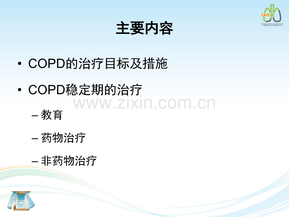 稳定期COPD的长期治疗.pptx_第2页