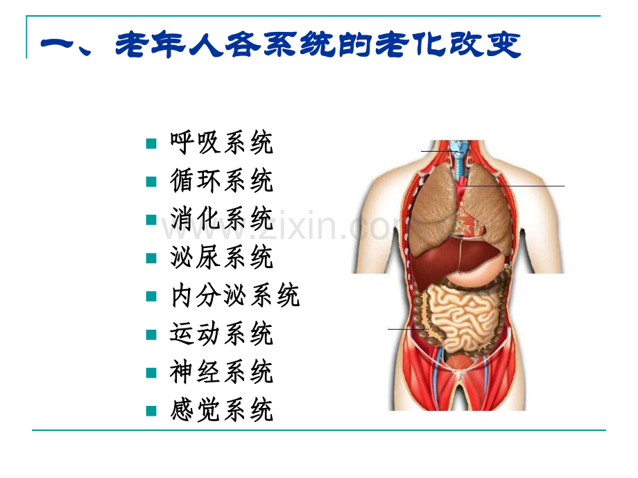 老年人常见健康问题与护理周薇.pptx_第1页