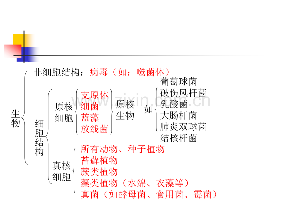 生命的基本单位——细胞.pptx_第1页