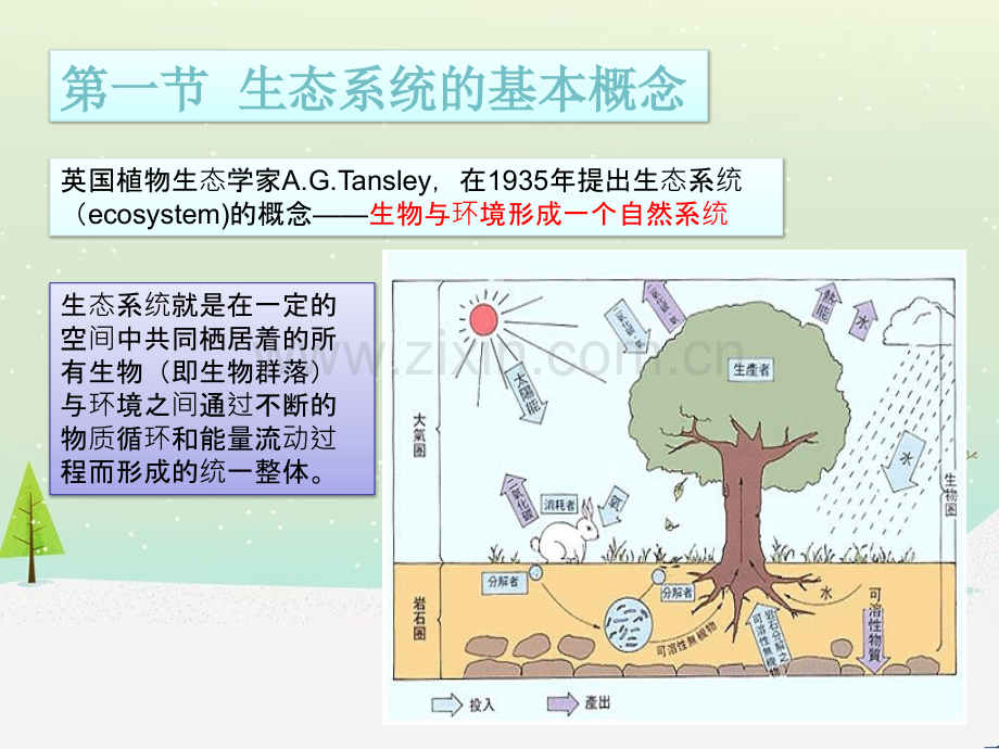 生态系统的基本结构.pptx_第3页