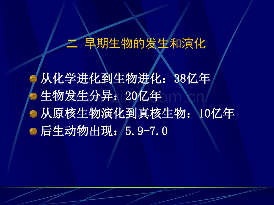 生命的起源与生物的进化.pptx_第2页