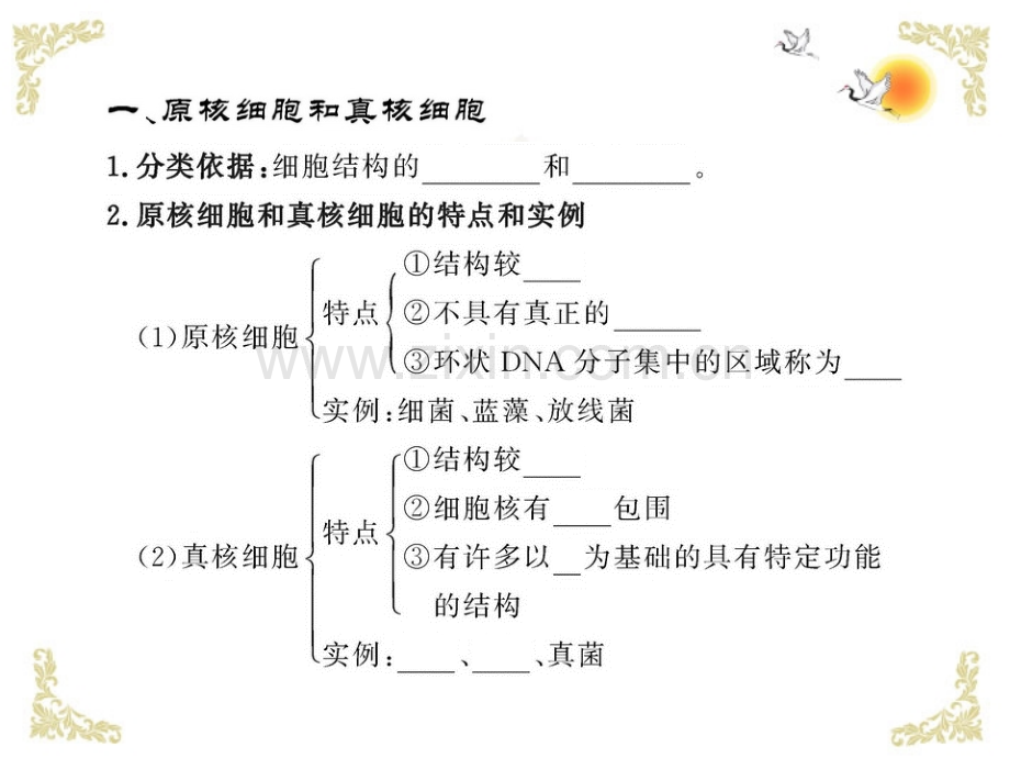 细胞的类型细胞膜和细胞壁.pptx_第2页