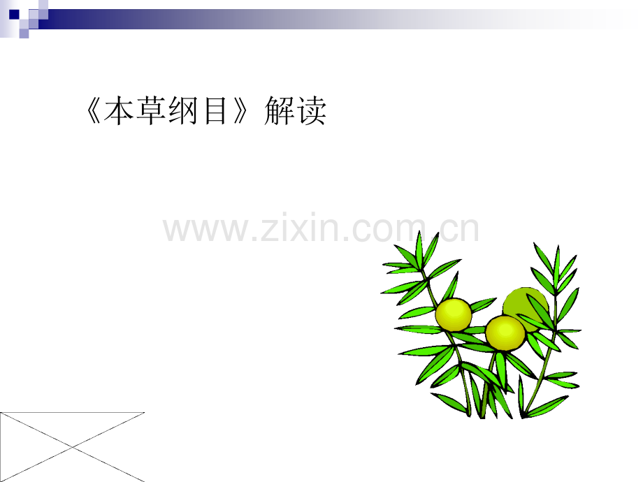 本草纲目详解.pptx_第1页