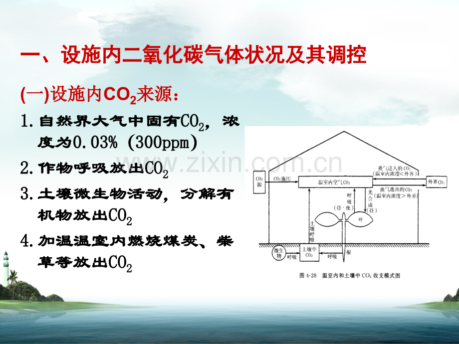 第四节-设施气体环境及其调控.pptx_第2页