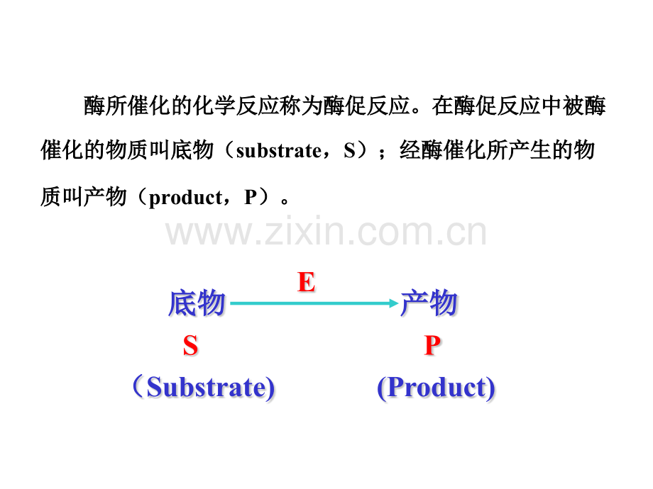 第四章酶化学.pptx_第3页