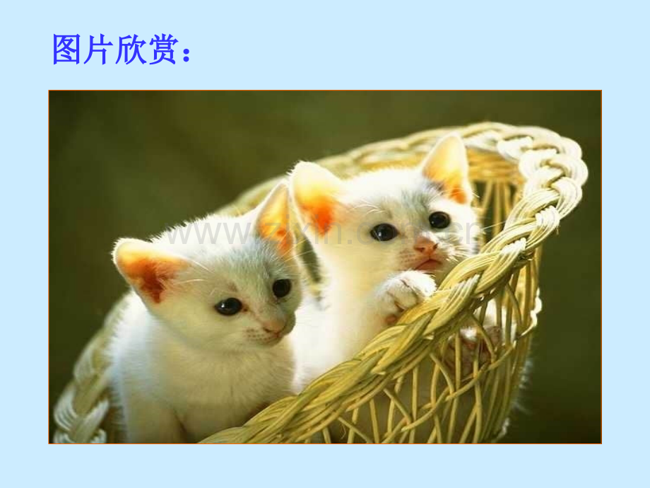 猫郑振铎用.pptx_第2页