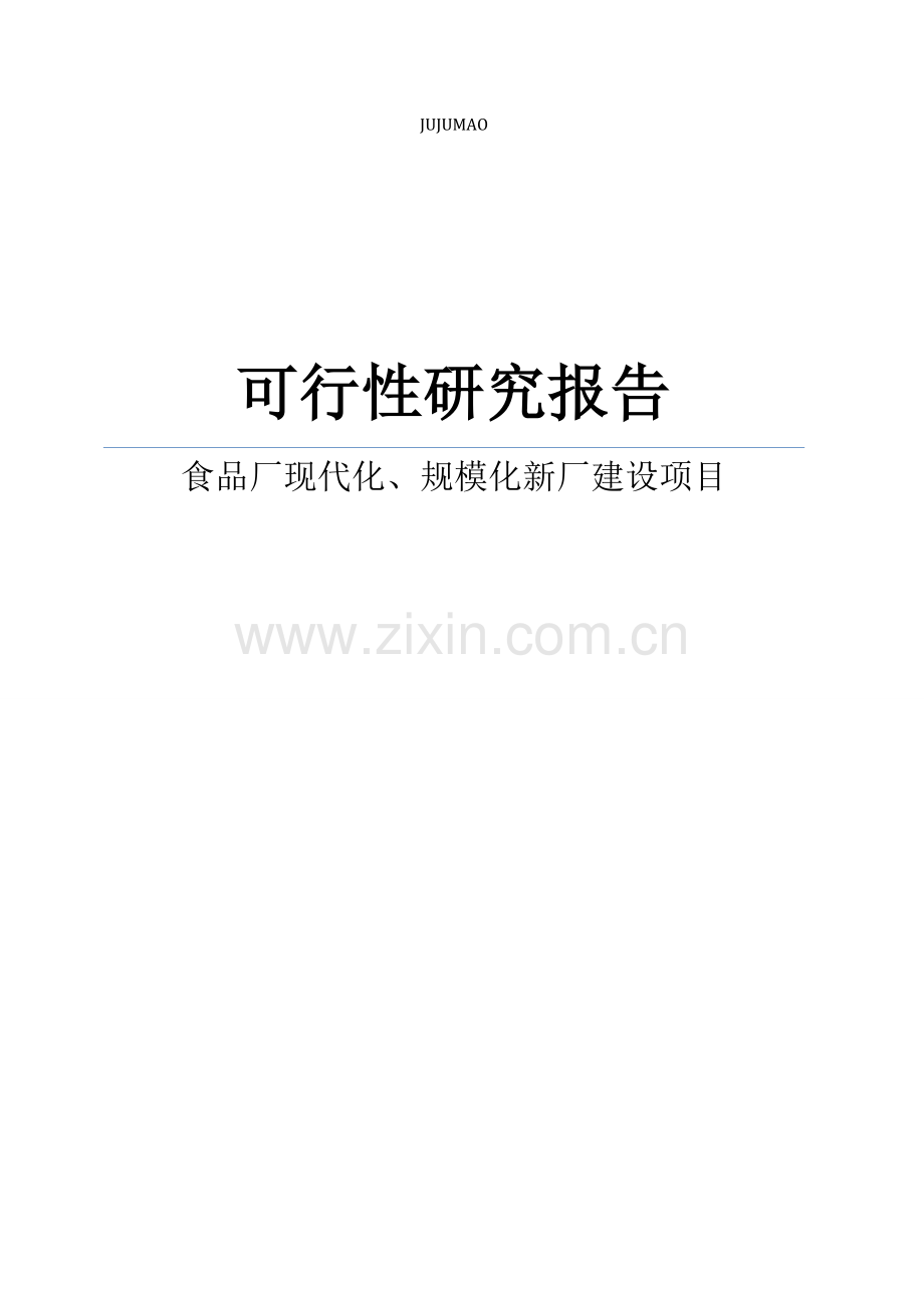 食品公司食品厂现代化、规模化新厂建设项目可行性研究报告.doc_第1页