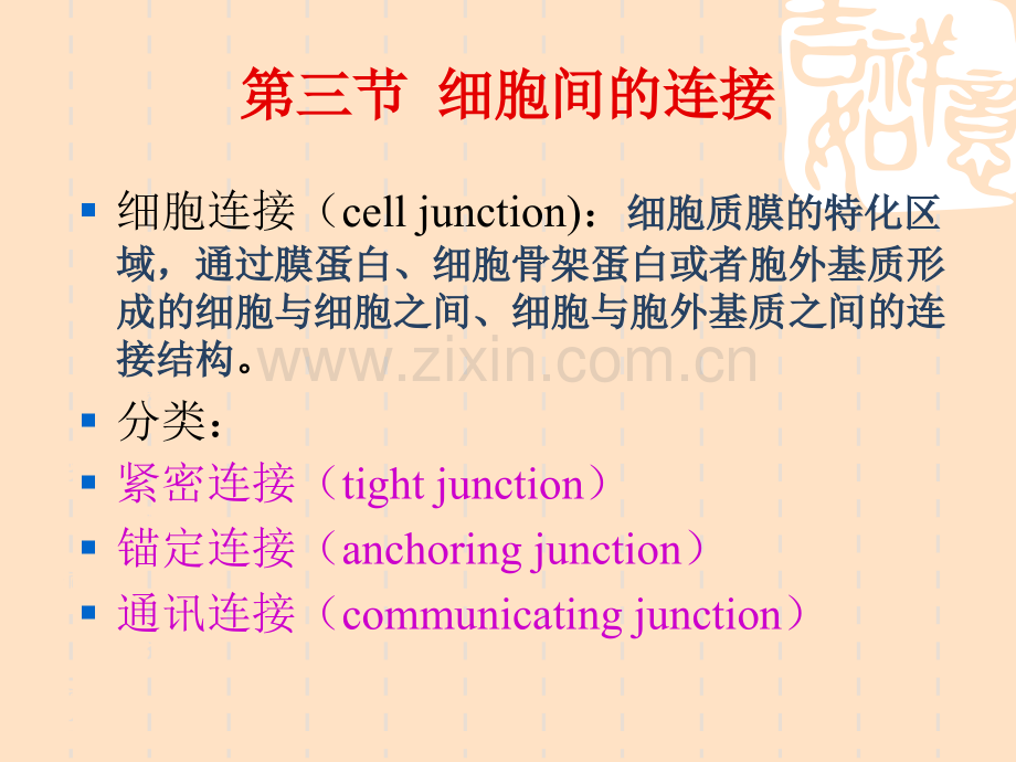 细胞表面及特化.pptx_第1页