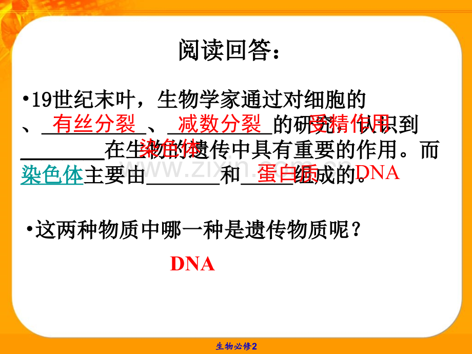 苏教版江苏省南京市东山外语国际学校高二生物探索遗传物质过程DNA结构.pptx_第1页