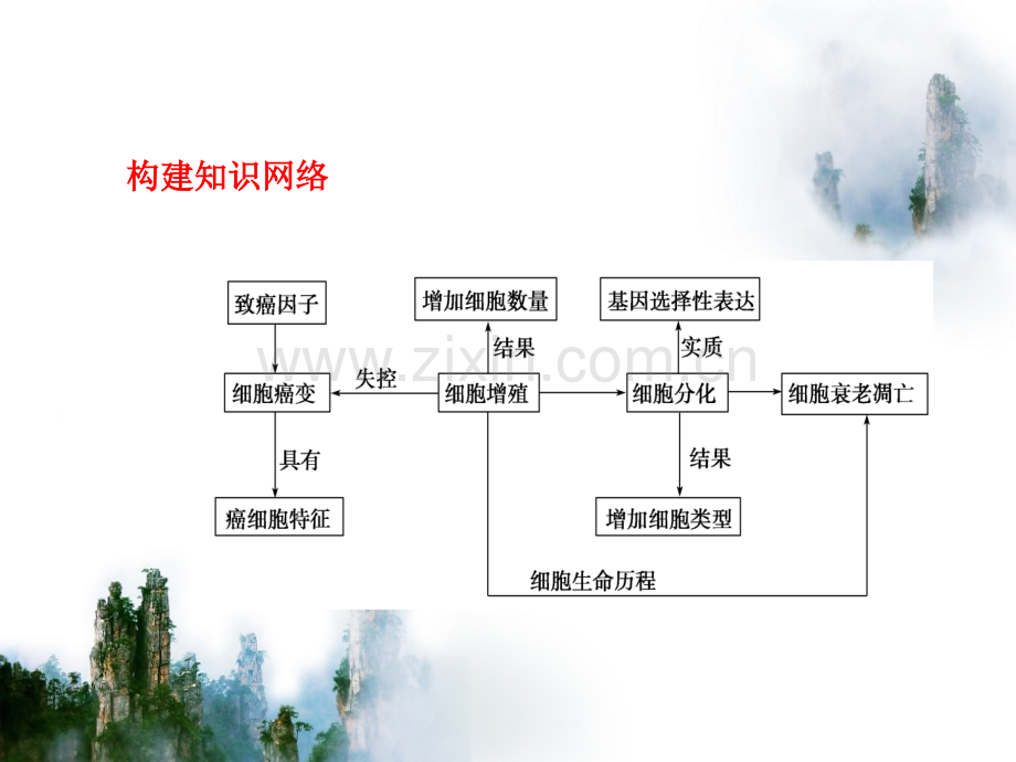 细胞的分化衰老和凋亡3课时.pptx_第1页